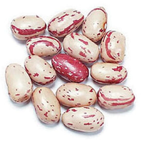 Bean Cranberry( Borlotti )25kg