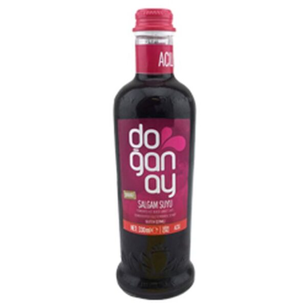 DOGANAY SALGAM HOT GLASS 250MLx12pcs