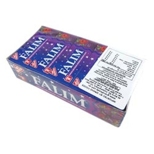 CHEWING GUM FOREST FRUIT 5 PAC X 20 (18)