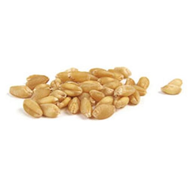 Wheat Asurelik/Noahs Pudding 1kgx12