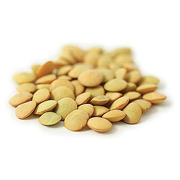 Lentil Green Can. (012) Laird 25kg