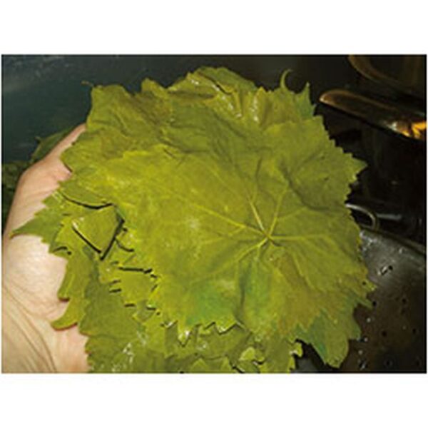 Vine Leaves 160kg