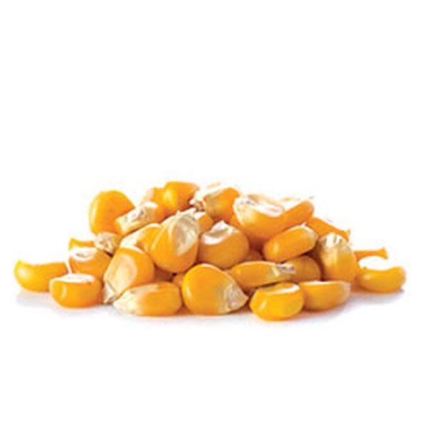 Corn Popping Raw (004) 25kg