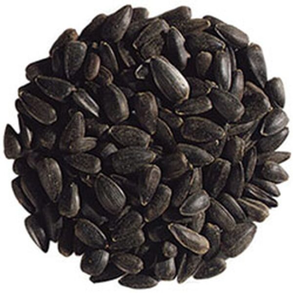 Nigella Seed Black 1kg