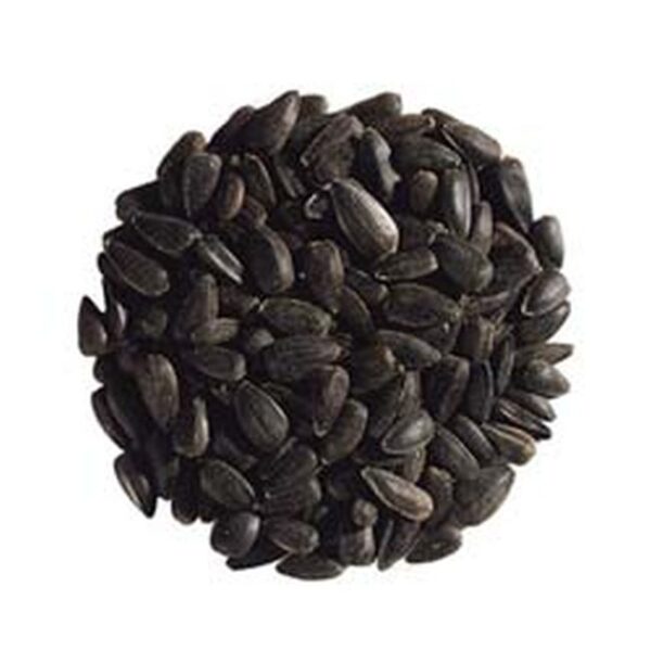 Nigella Seeds Corekotu 400gx12