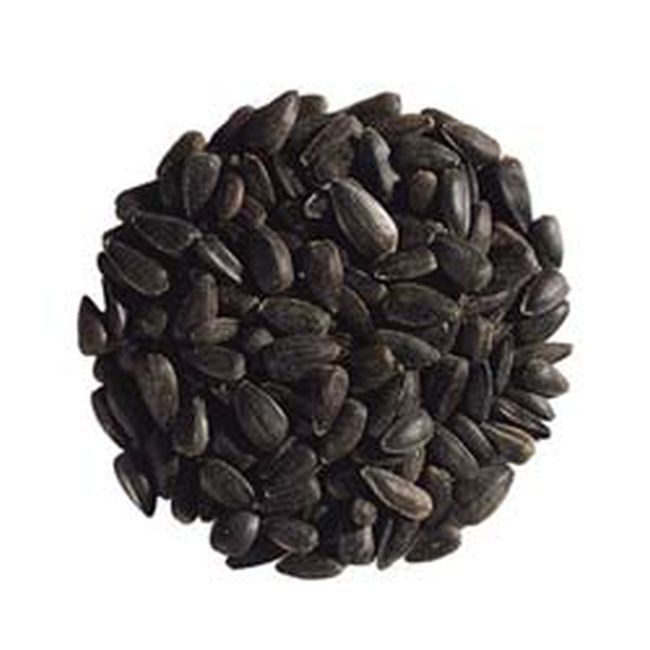 SPC103 Nigella Seeds Corekotu 400gx12 - Image 1