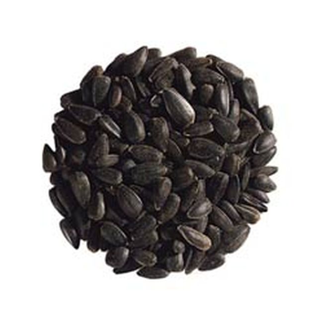 SPC214 Nigella Seed Black 20KG BAG - Image 1