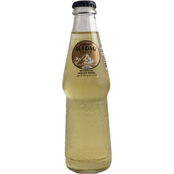 Gazoz Efsane Ginger 250mlX24